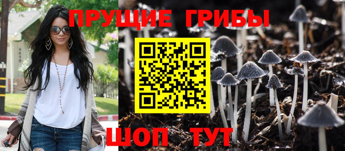Серпухов  Псилоцибиновые грибы ЛСД  Вход с VPN  Галлюциногенные грибы Cubensis 