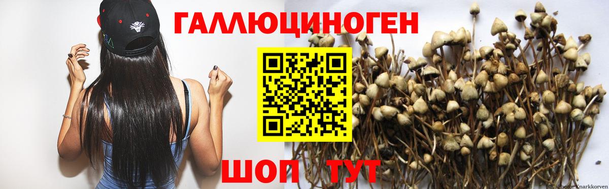 Псилоцибиновые грибы ЛСД Серпухов